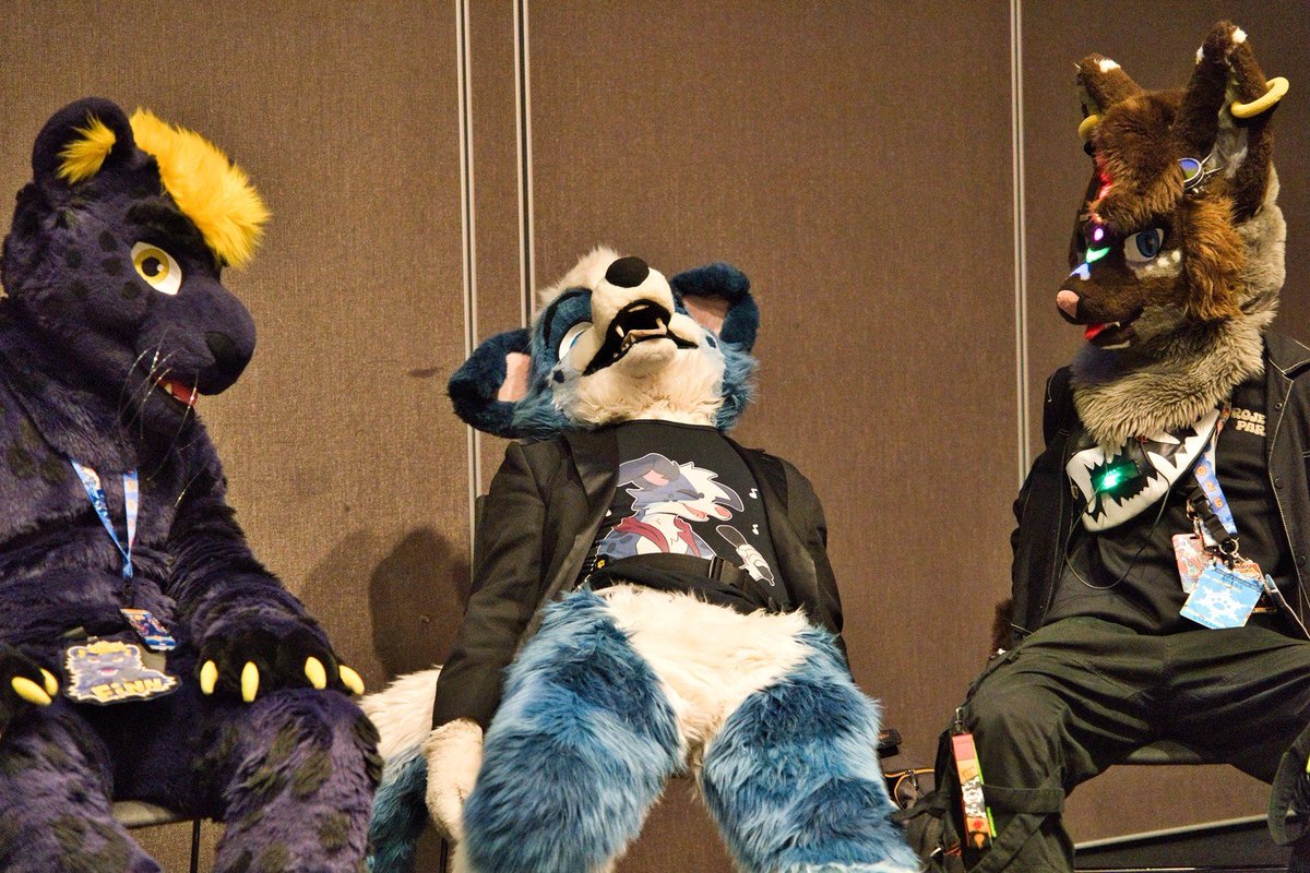 Little Alpha Pup (Milo) 🔜 TFF tweet media