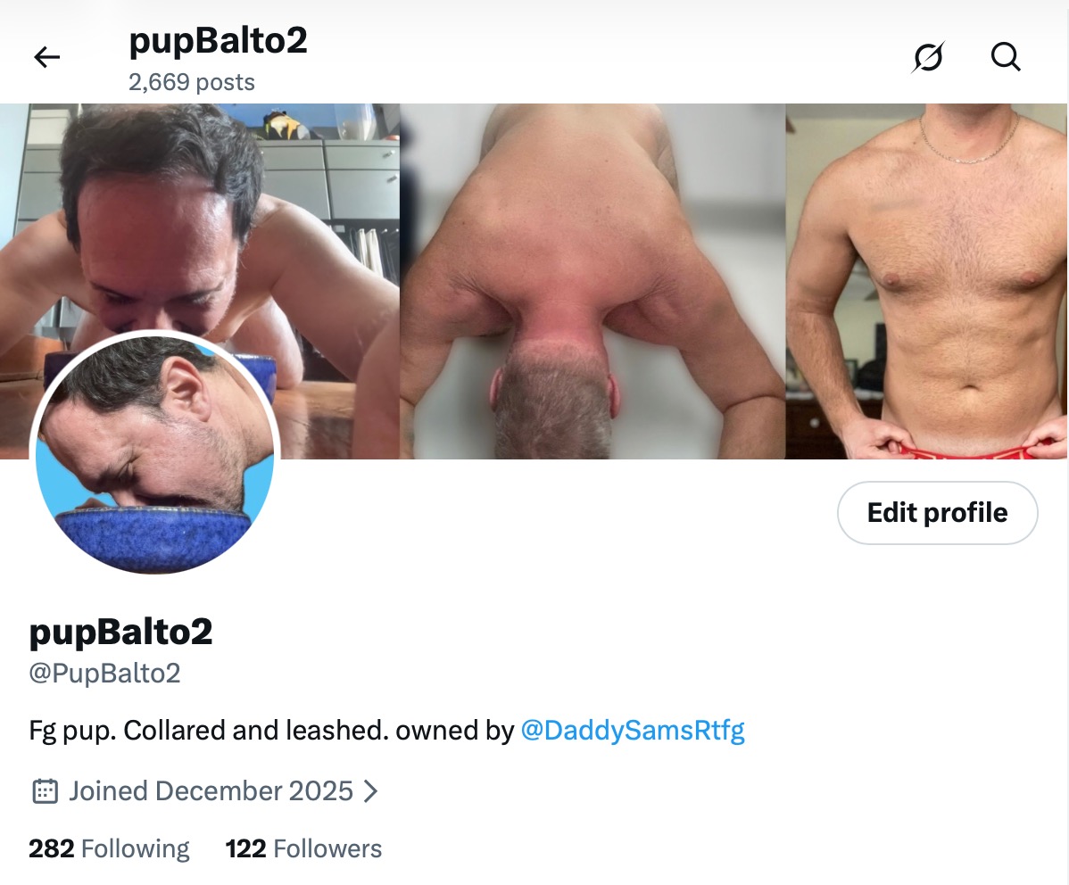 pupBalto2 tweet media