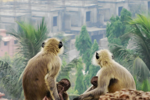 CDURABLE.info tweet media