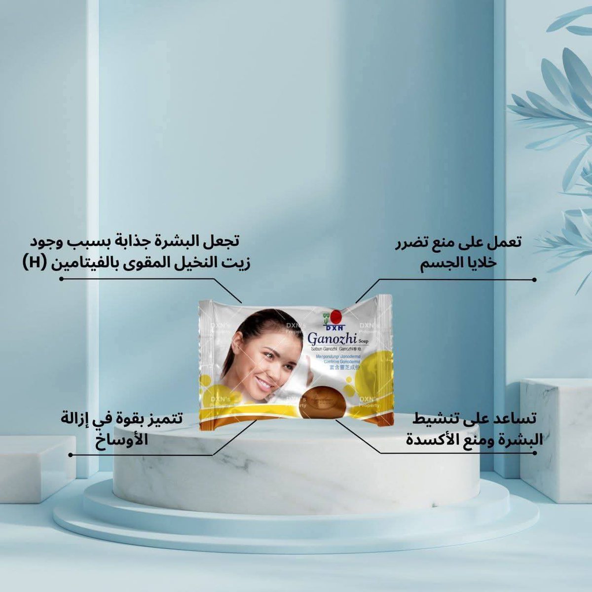 Yusra_DXN tweet media