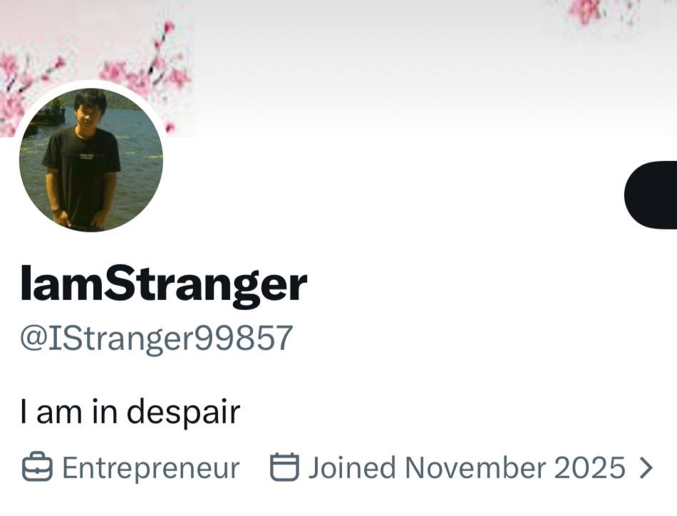 CryptoBabe tweet media