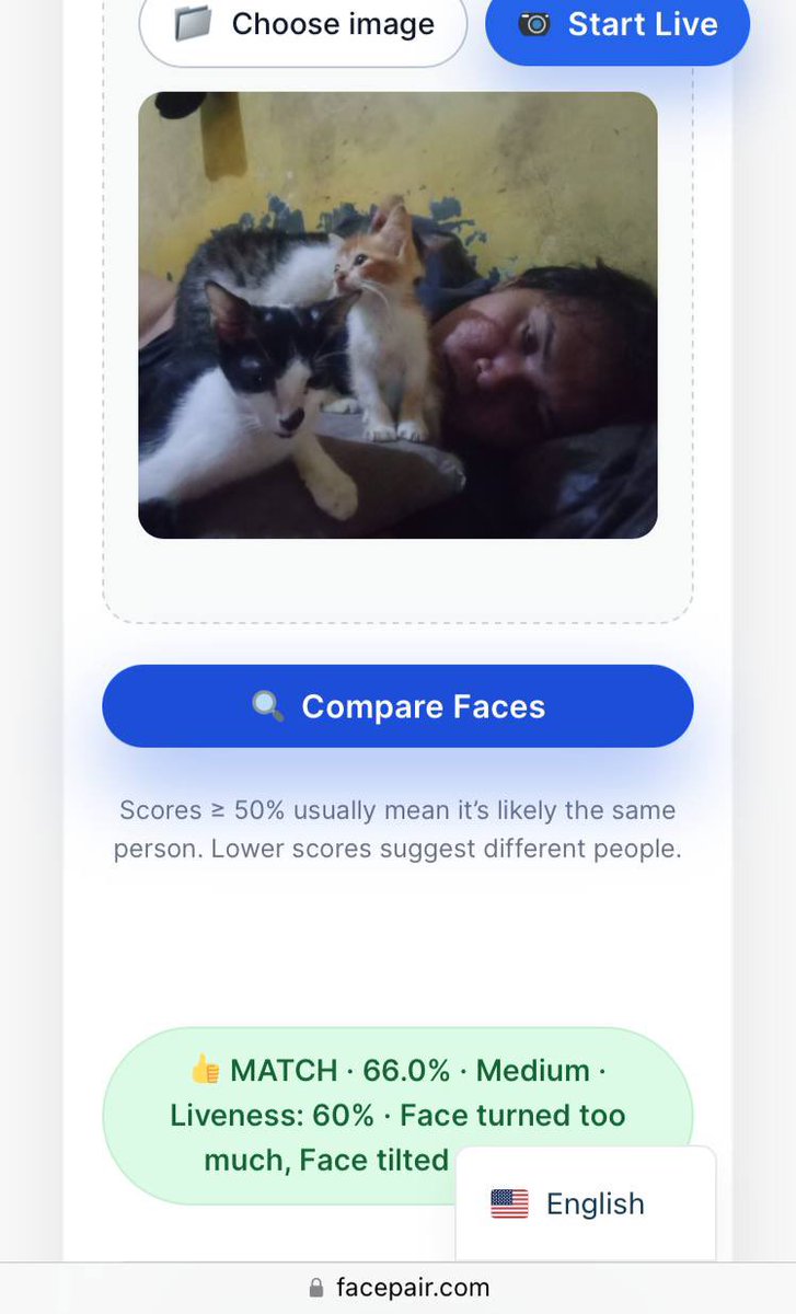 CryptoBabe tweet media