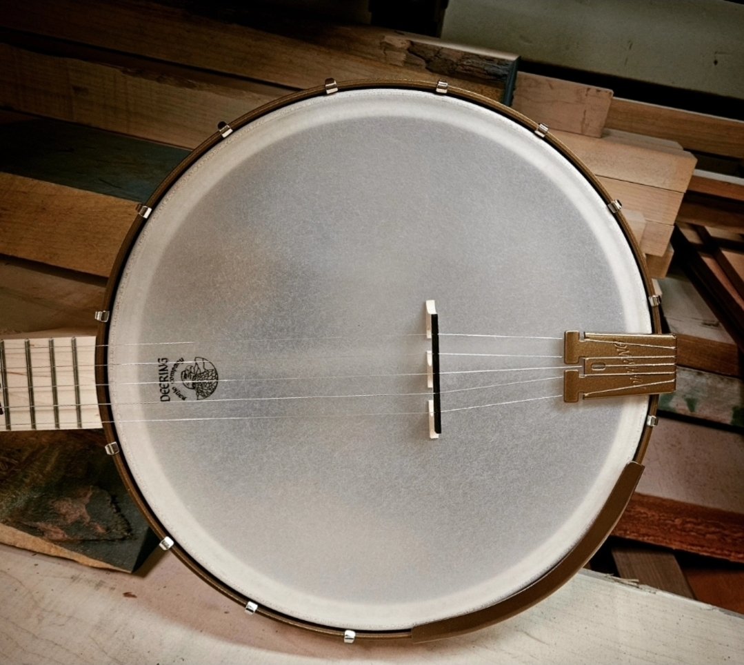 Deering_Banjos's tweet image. When you want to add that old-time music sound to your playing, the Goodtime Americana with its larger 12" violin grade maple wood rim is there for you. #banjo #oldtimemusic #qualityoflife