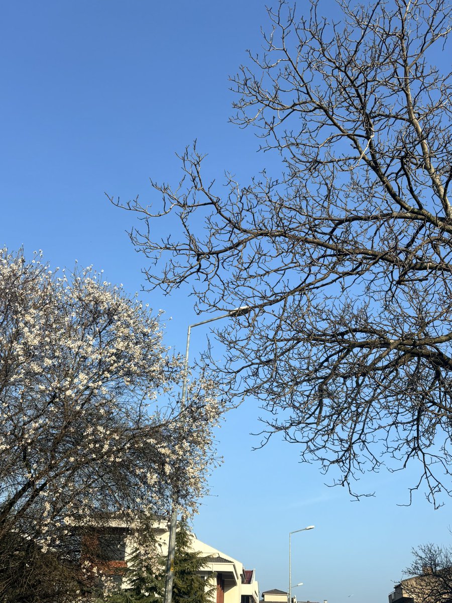 birminiblog tweet media