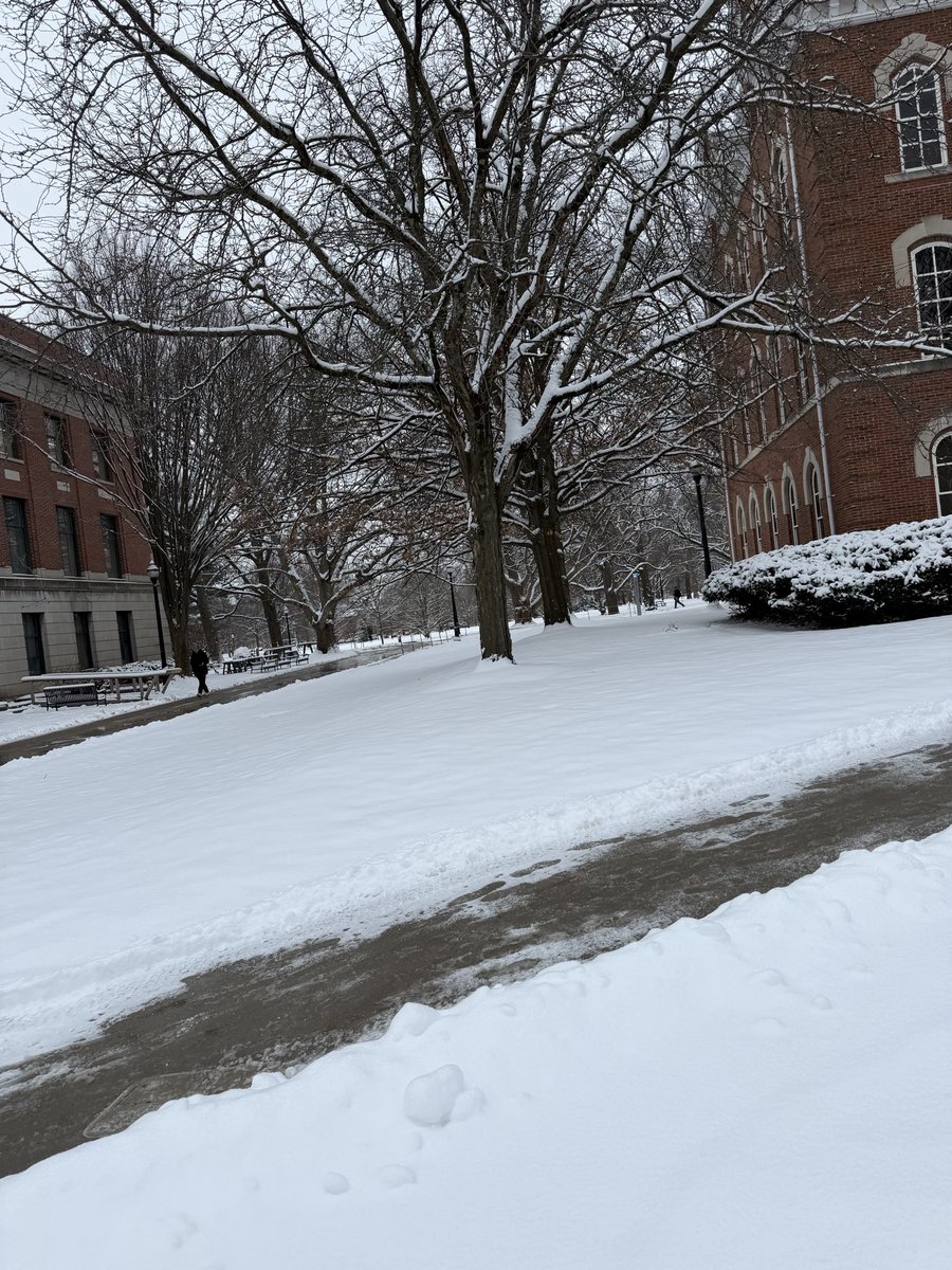 Lincoln Square tweet media