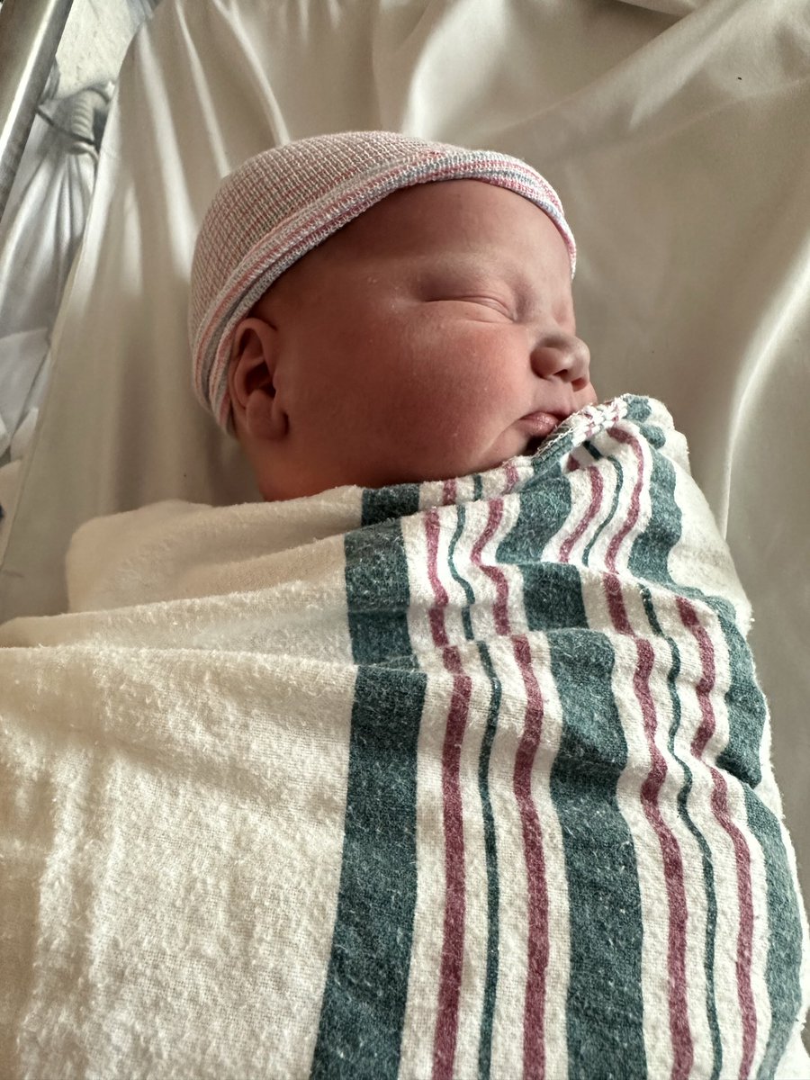 The Father tweet media