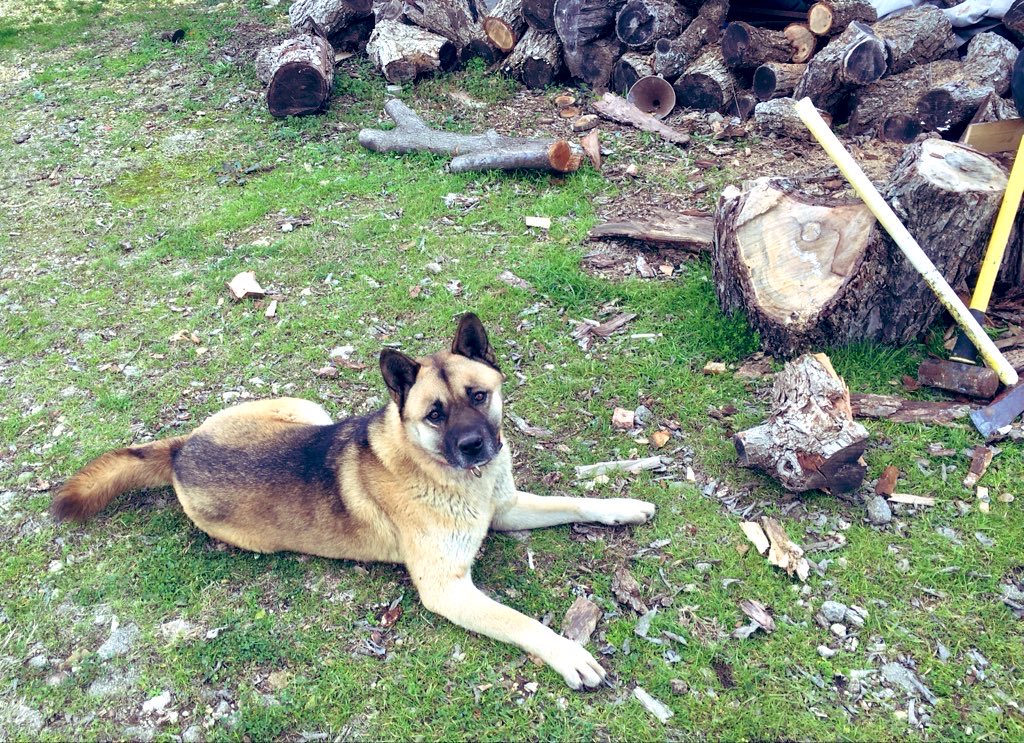 Bill Bair tweet media