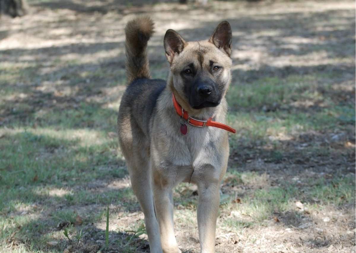 Bill Bair tweet media