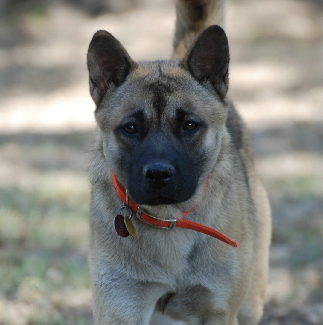 Bill Bair tweet media