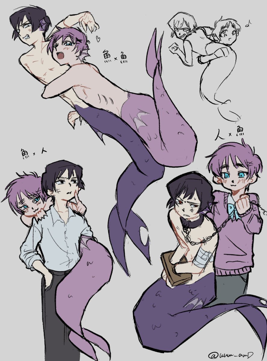 uum_amD's tweet photo. 2P朝菊　人魚パロ
　って言っても色々あるよねっていう… https://t.co/z3Uzla5DjQ