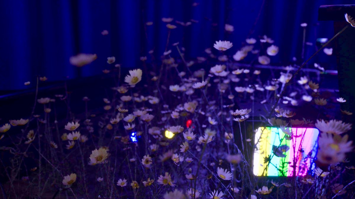 Anne☕️ tweet media