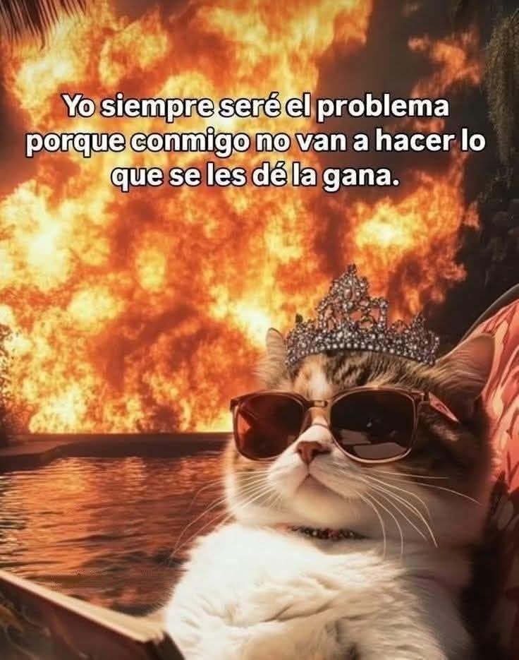 Beryl 🧶 (@berilyn_02) on Twitter photo 