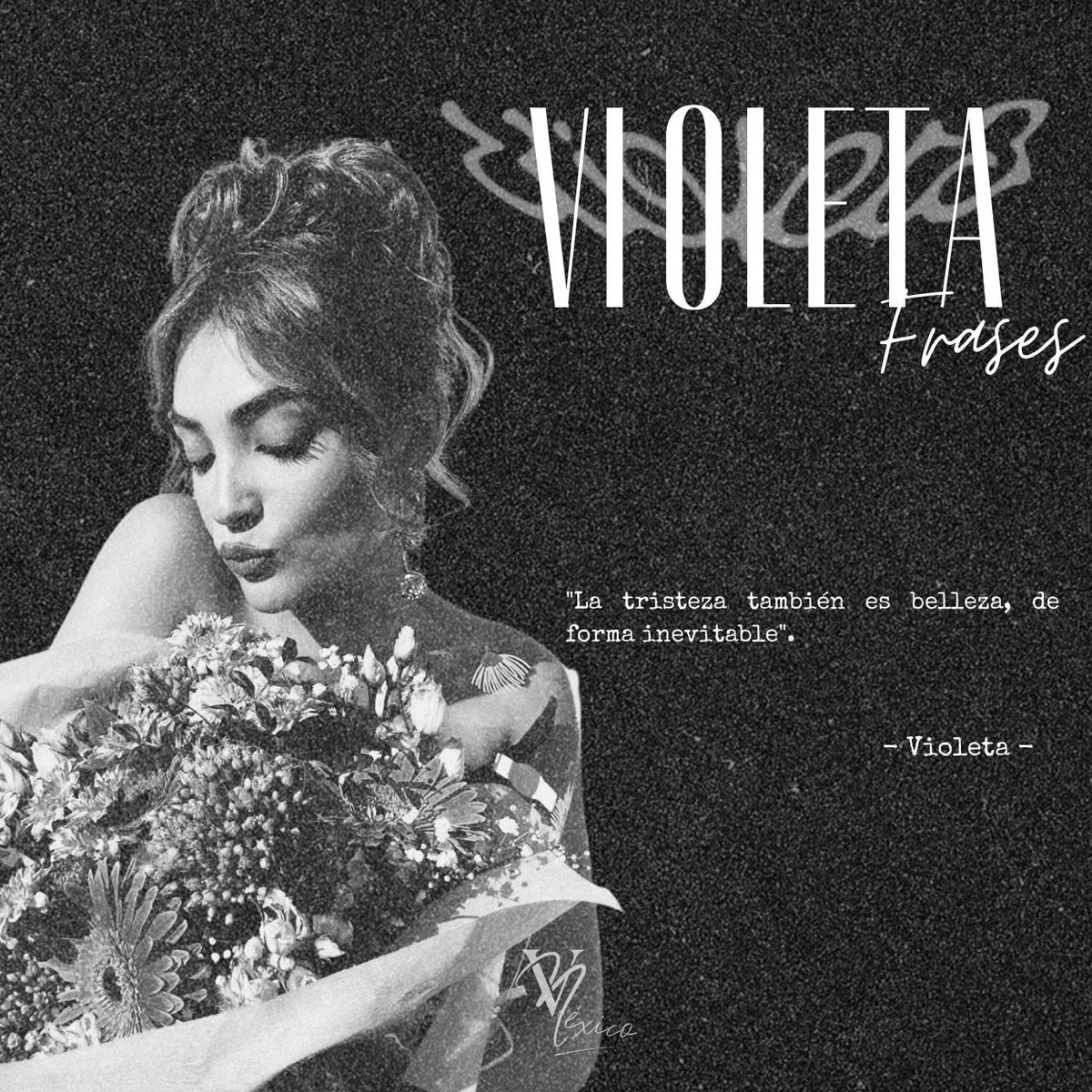 Violeta México 🇲🇽 (@VioletaHMexico) / Posts / X