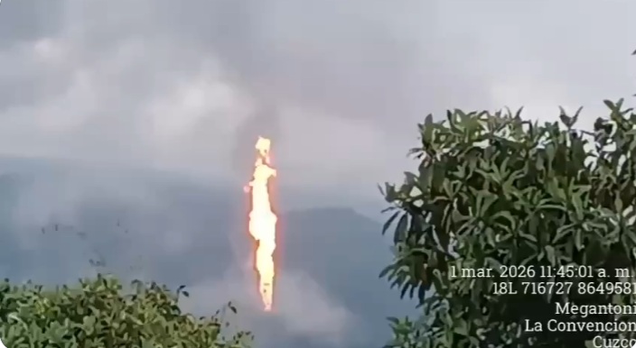 Gato Encerrado tweet media