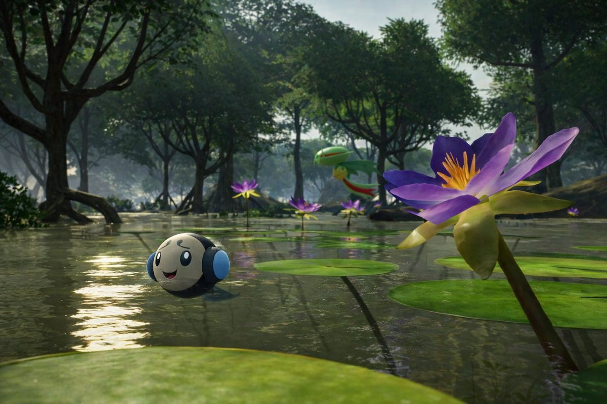 Sam Nook tweet media