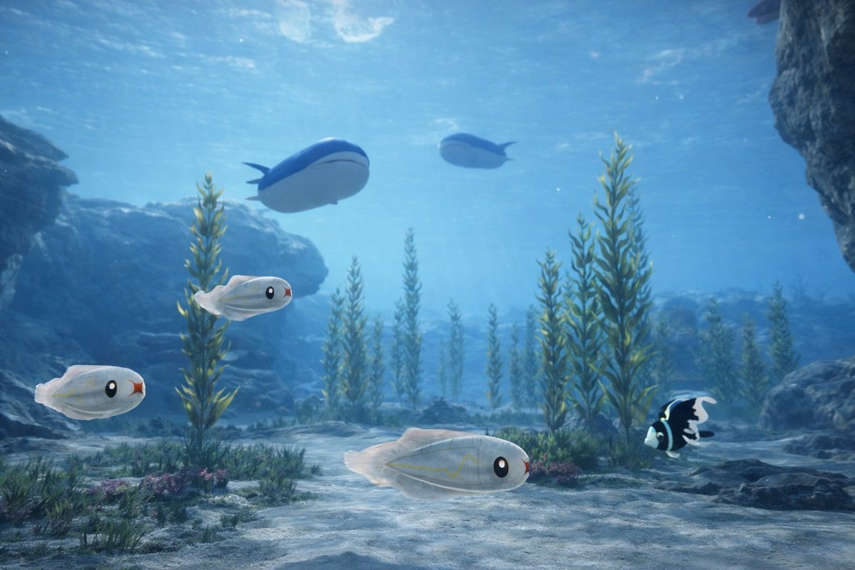 Sam Nook tweet media