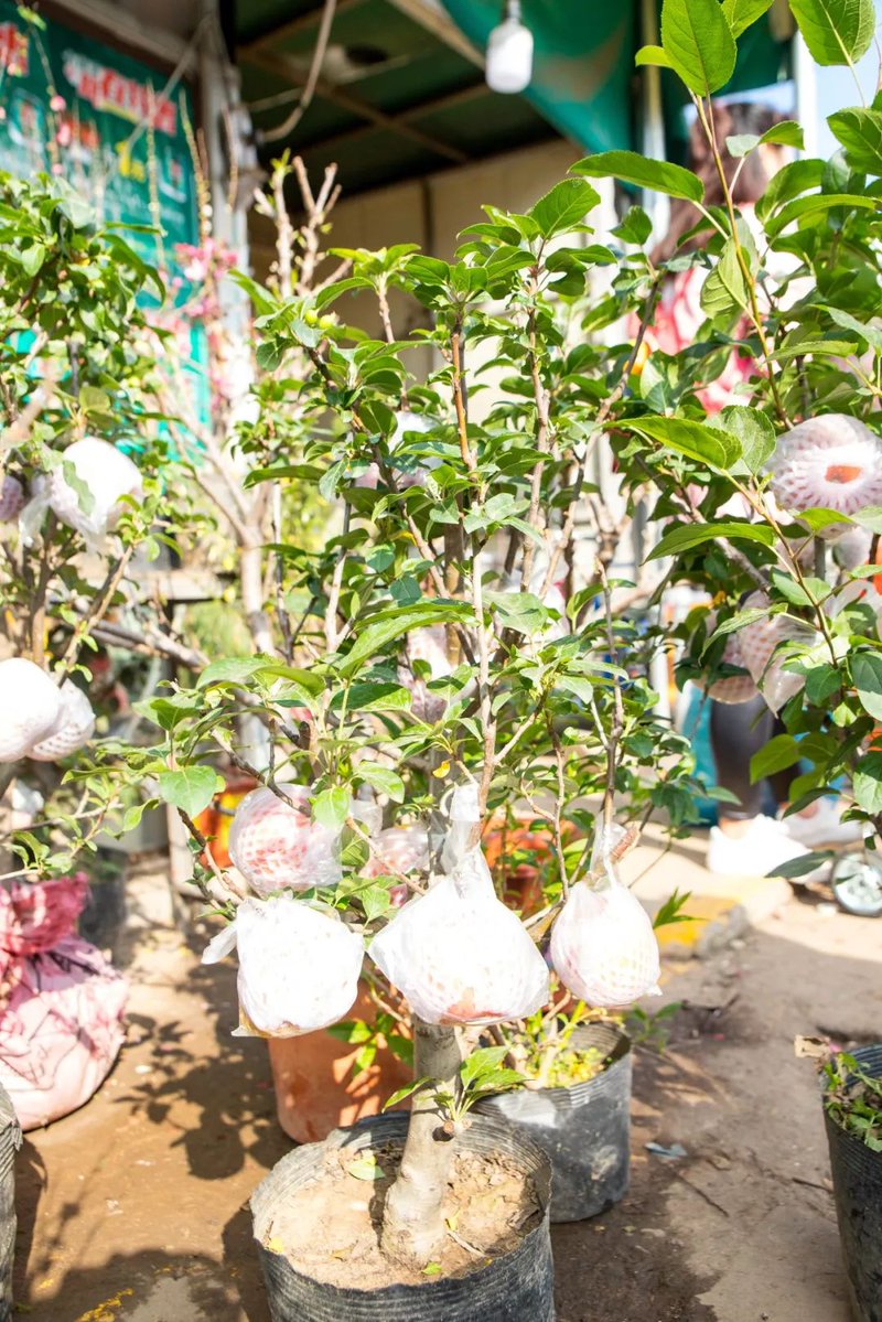 CRM15494487's tweet image. When your team thought the "secret" coffee stash was hidden… but your intern’s eagle eyes spotted it in the plant pot. Now they’re the office hero (and the plant’s getting less watered).  #WorkHumor #InternWin