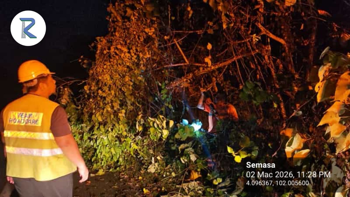 Roadcare Lipis Cameron tweet media