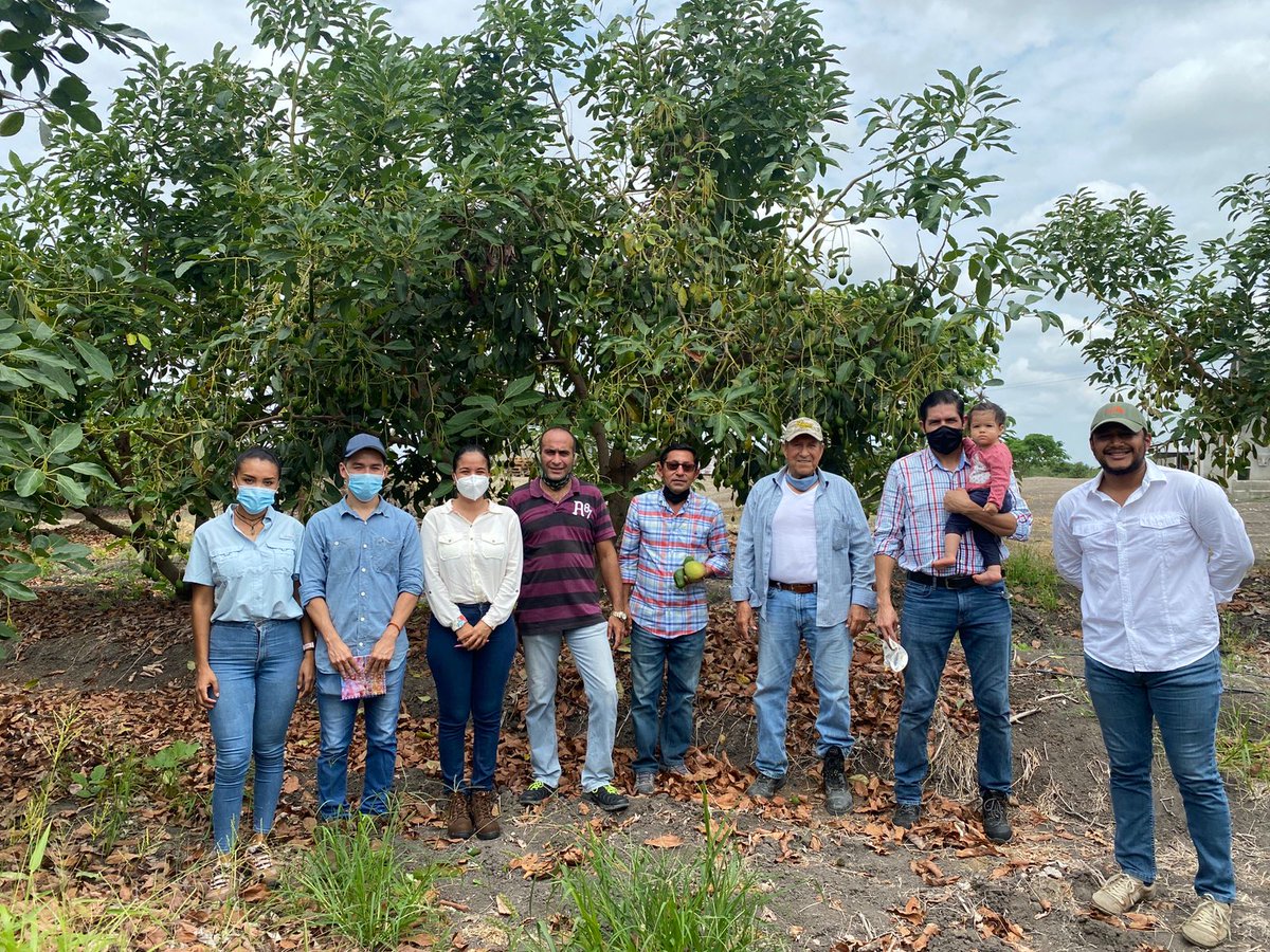 espol's tweet photo. Bertha Dávalos, miembro de la comunidad #AlumniESPOL, ha construido una destacada trayectoria en el ámbito de la logística y exportación. Fundó BDBLogic, una firma especializada en asesoría y gestión integral en comercio exterior. 
Conoce más de su historia: https://t.co/nxn7feTOAI