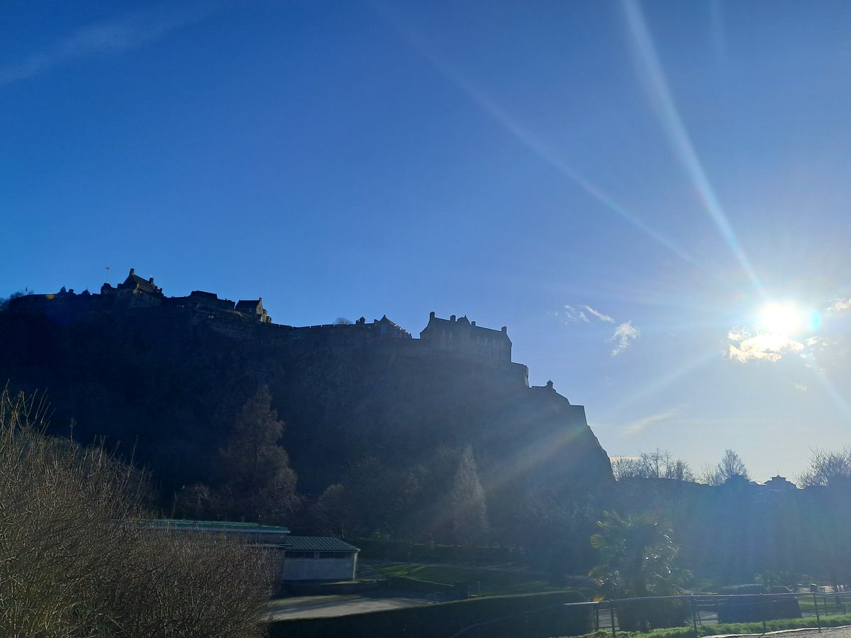 The Captain tweet media