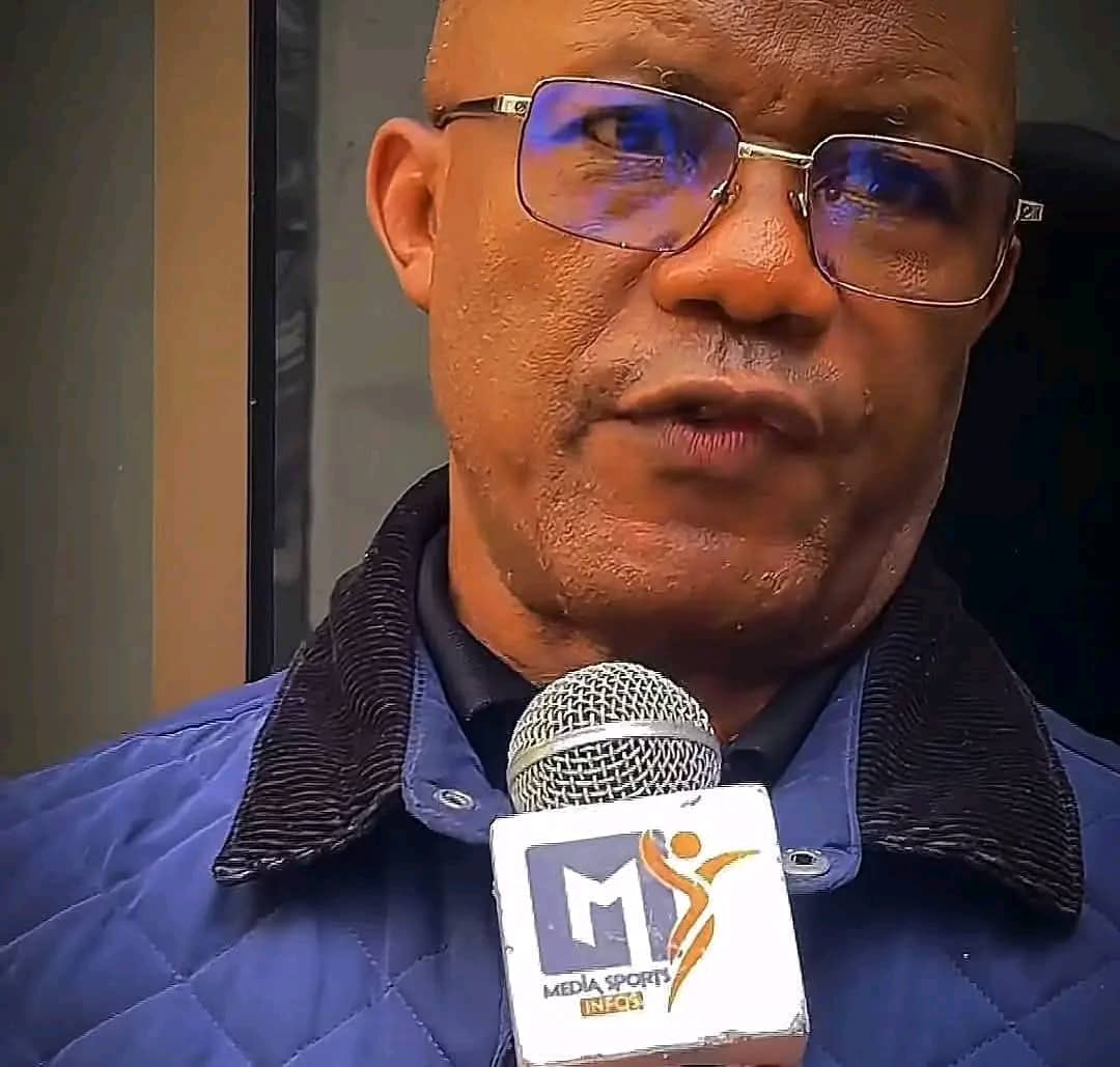 AllezLesLions tweet media