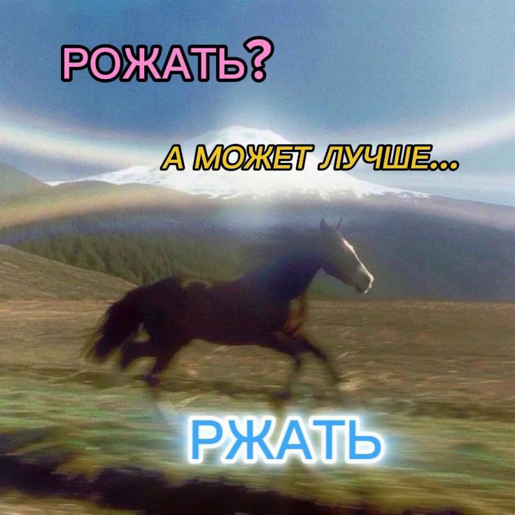 воровка туалетной бумаги (@kylie__tyler) on Twitter photo 