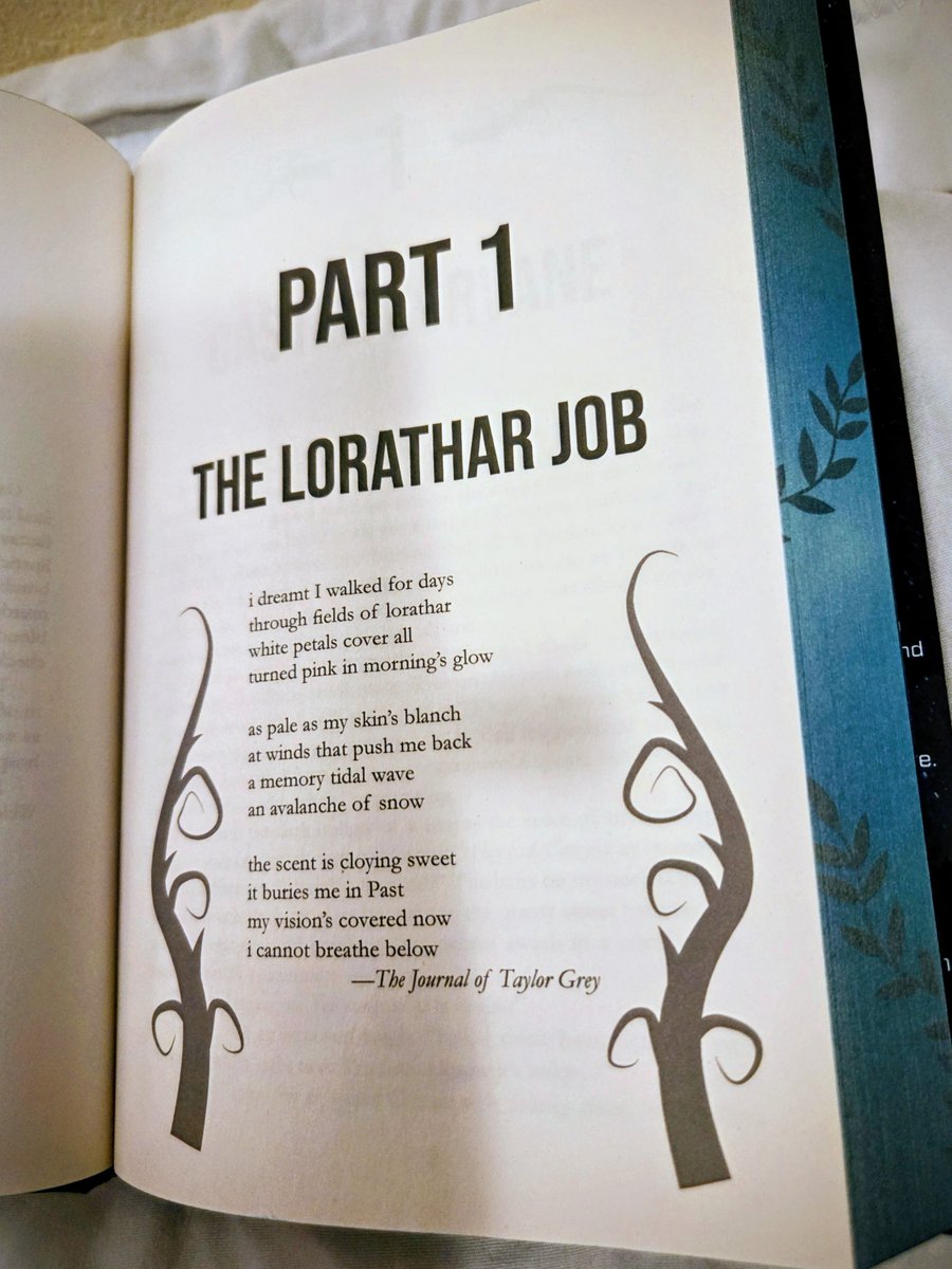 Skylar Anthony ✦ Magic, Mayhem & Space Elves 🧝🚀 tweet media