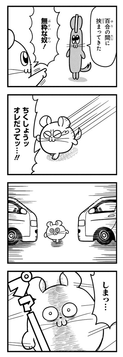 やっぱりチンチランド (@chinchilla_land) on X