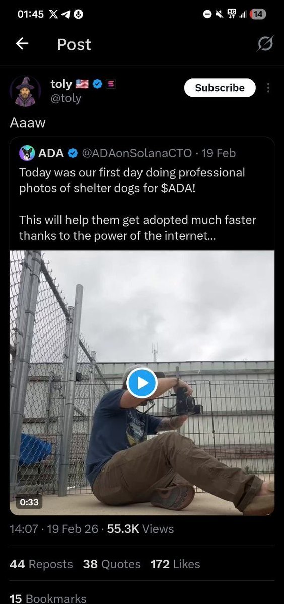 <a href="/SluzzyGems/">Sluzzy</a> I solemnly stick with $ADA a solana meme built around for walking and sheltering dogs in memories of <a href="/toly/">toly 🇺🇸</a> dogs which he signaled it

CA: skDGuSDyKYGbYTWnMCNcPeDd4vHUxAsMNVVxxUfpump