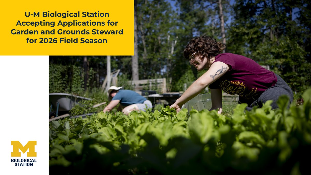 UM Biological Station tweet media