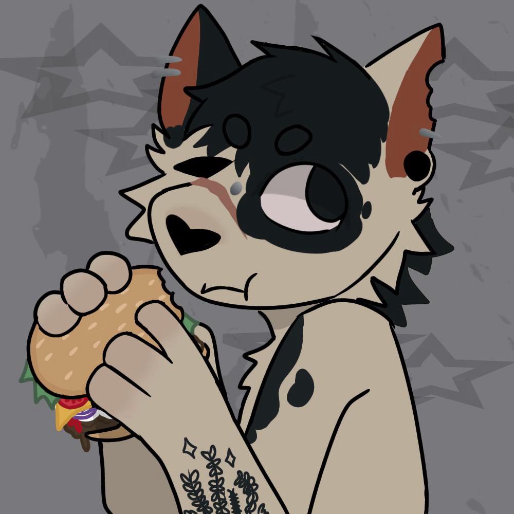 fuzz 🎾 tweet media