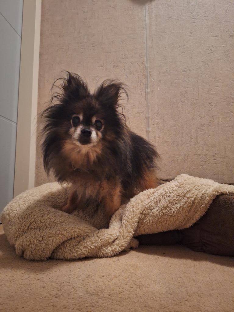 LisActivElite tweet media