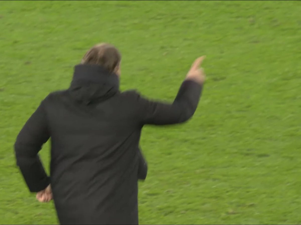 Whiteandright Americans Out tweet media