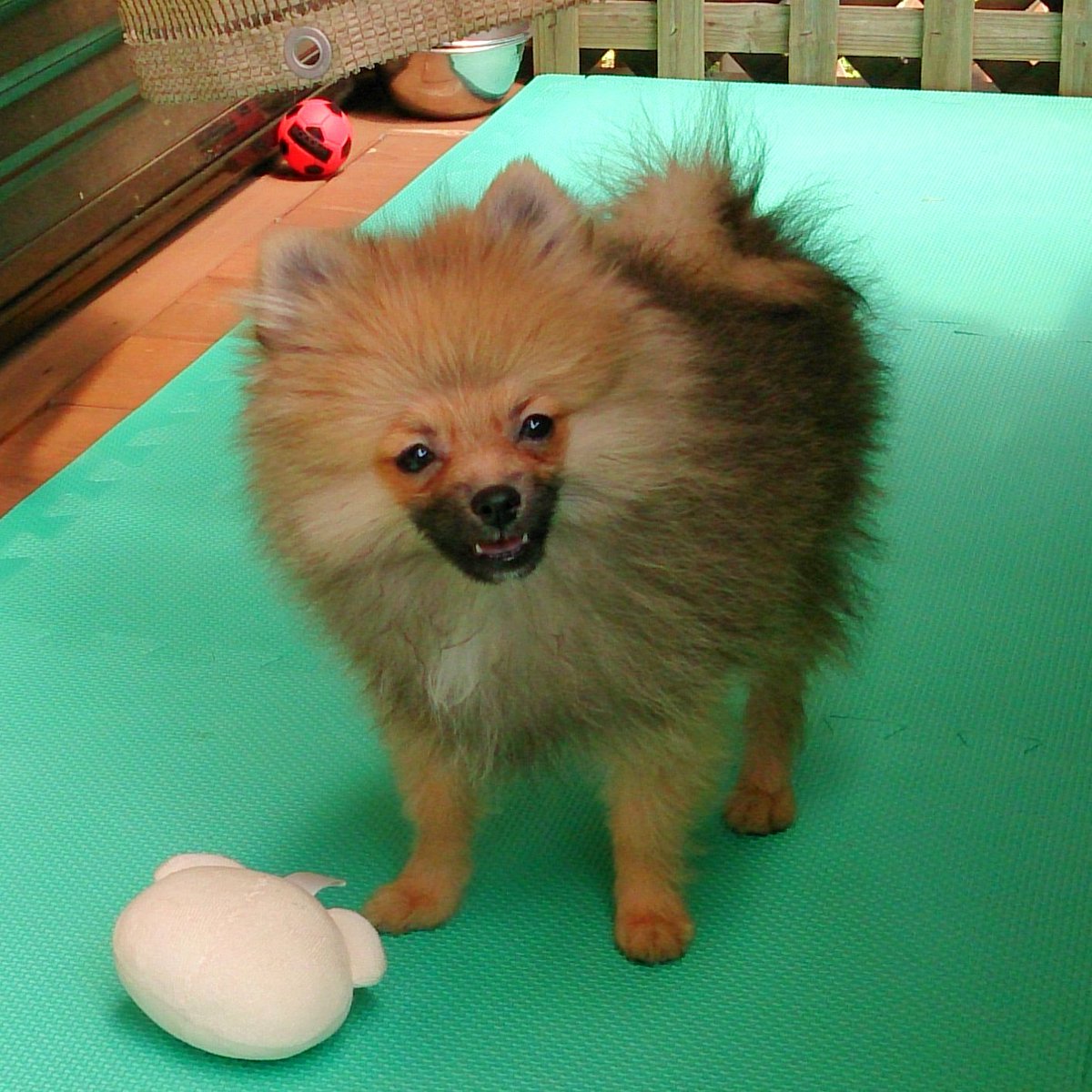 さっちん (@pk_kk_to) / Posts / X