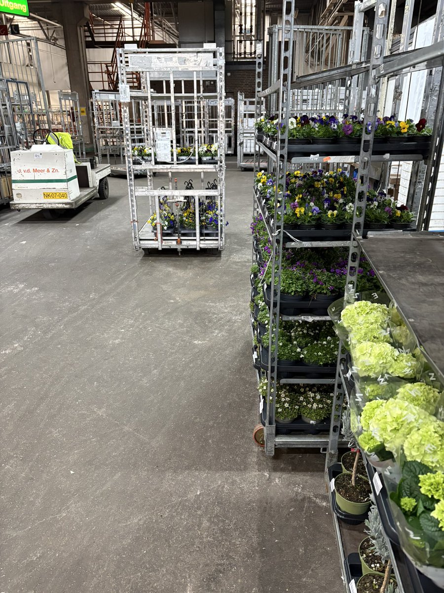 Dave van der Meer tweet media