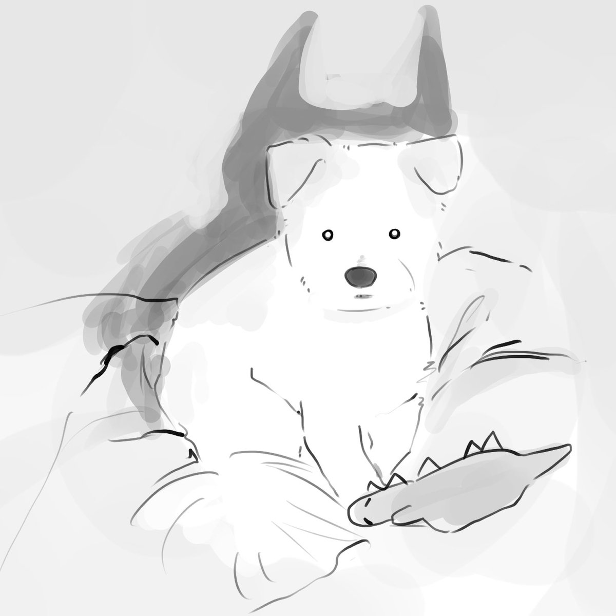 🐴조랑말군 tweet media
