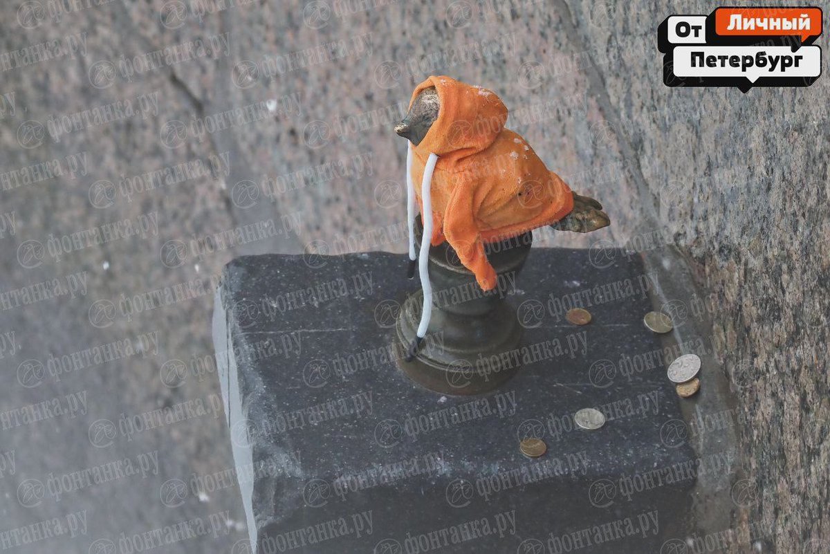 Дикий Петербург tweet media