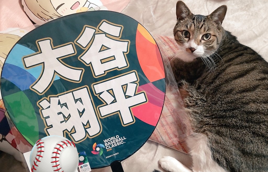 応援うちわ？推しうちわ？名称分からないけど初めて持って応援した