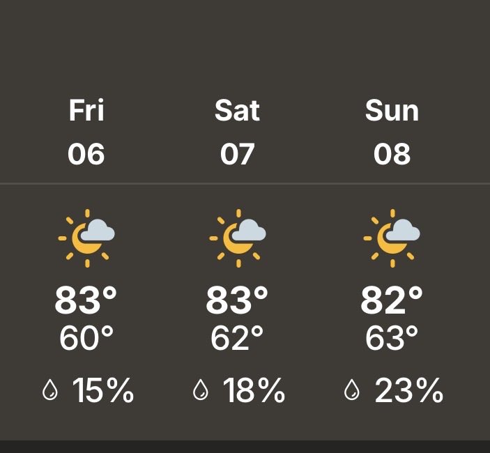 Tommy ⭐️ 🦆 tweet media