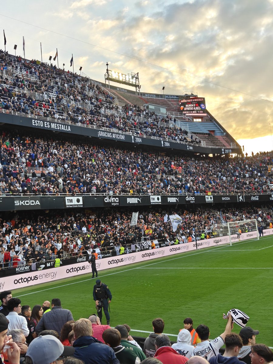 Jorden Sok tweet media