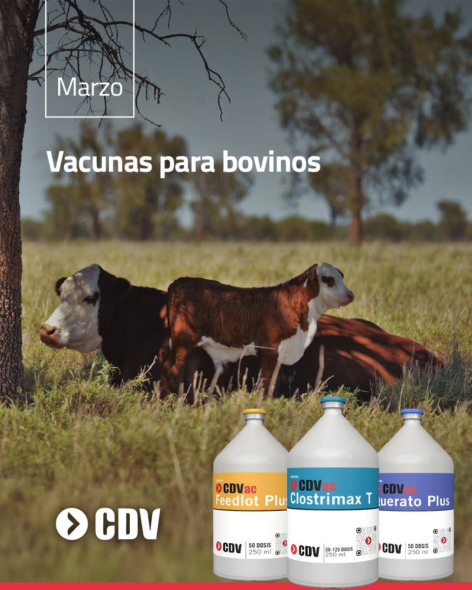 Laboratorio CDV tweet media