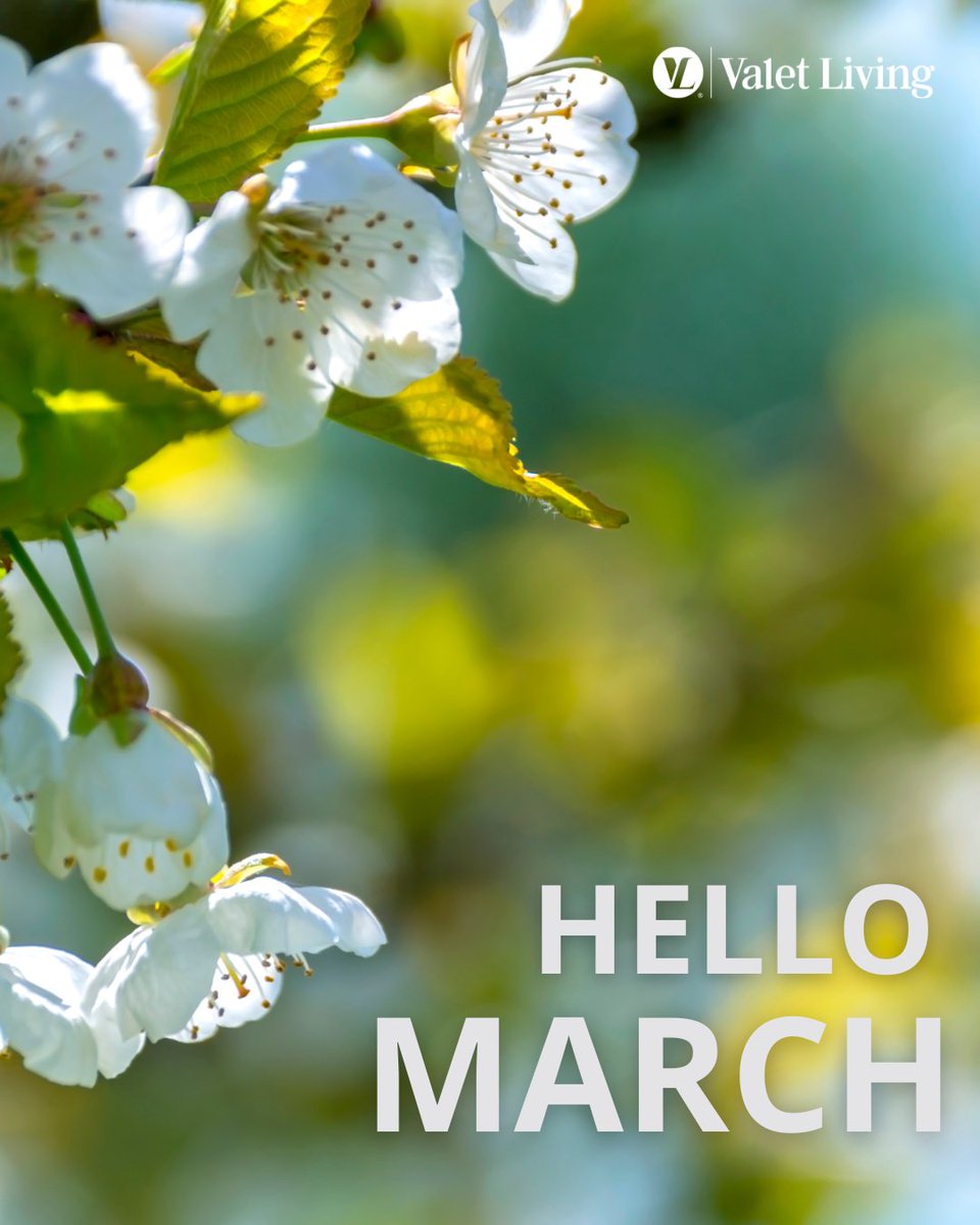 Valet Living tweet media