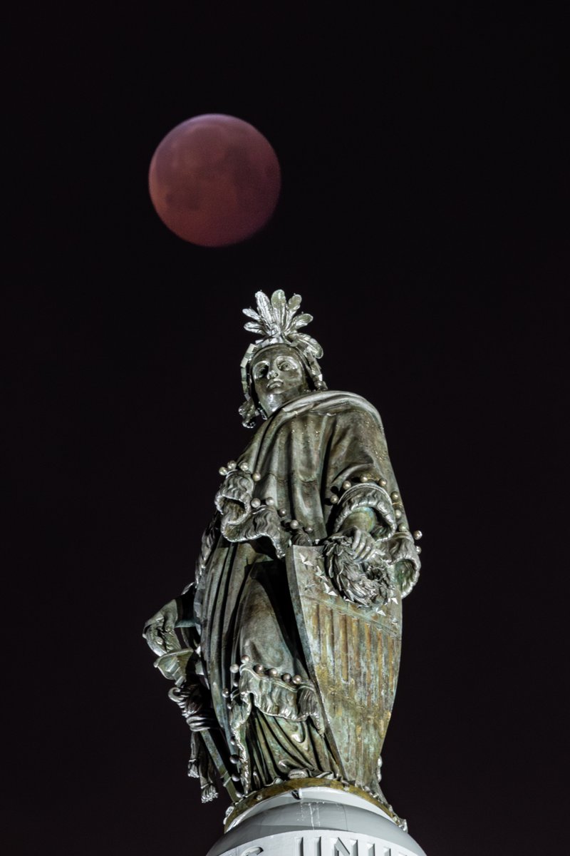 Austin DeSisto tweet media