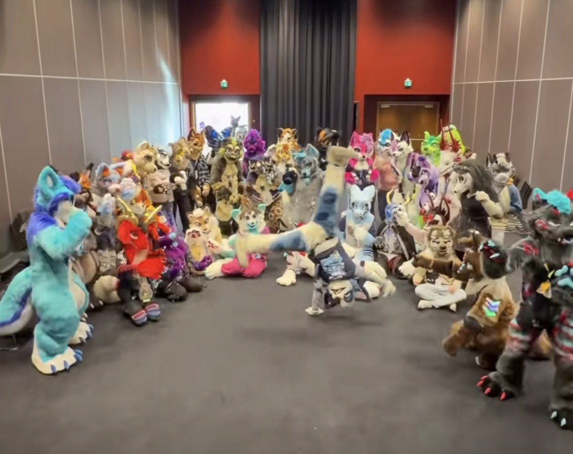 Little Alpha Pup (Milo) 🔜 FWA? tweet media