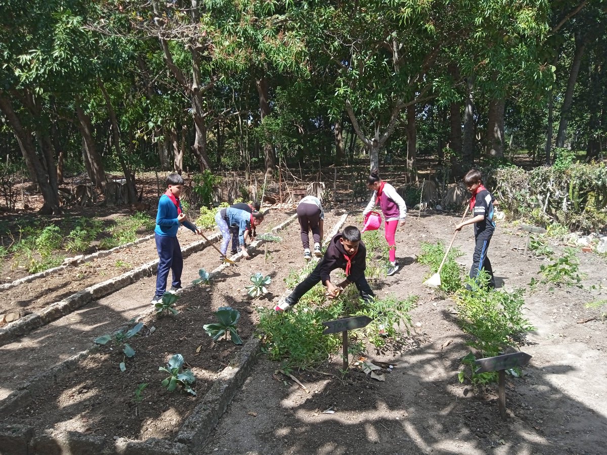 La escuela primaria no solo enseña a leer y a escribir, también forma valores y habilidades para la vida. <a href="/CubaMined/">MINED</a>  <a href="/dpevillaclara/">DGEP Villa Clara</a>  <a href="/DGEM_Quemado/">DGEM Quemado de Güines</a>