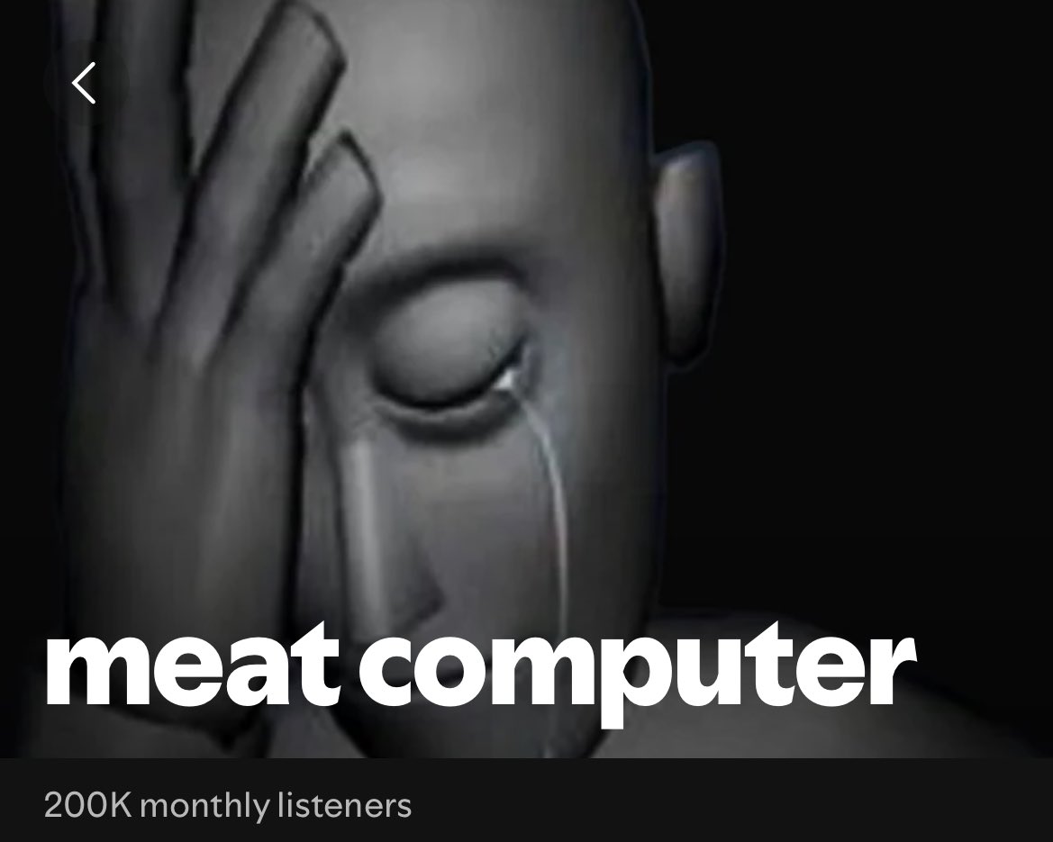 meat computer tweet media