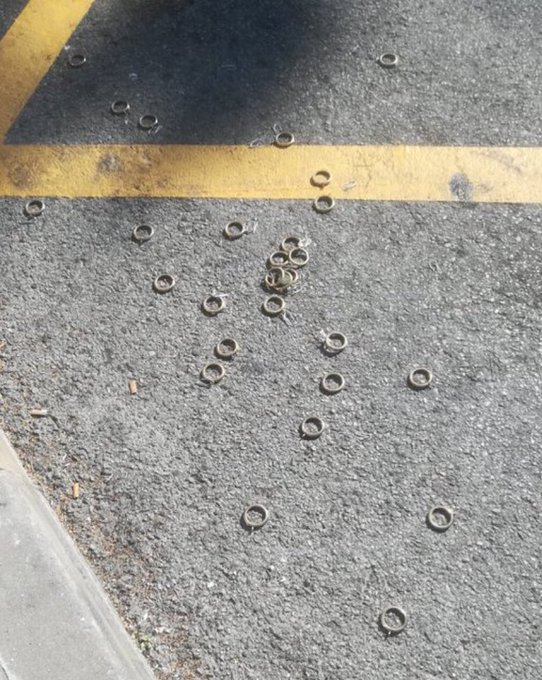 NOOOOOOOOOOOOO atropellaron a Sonic