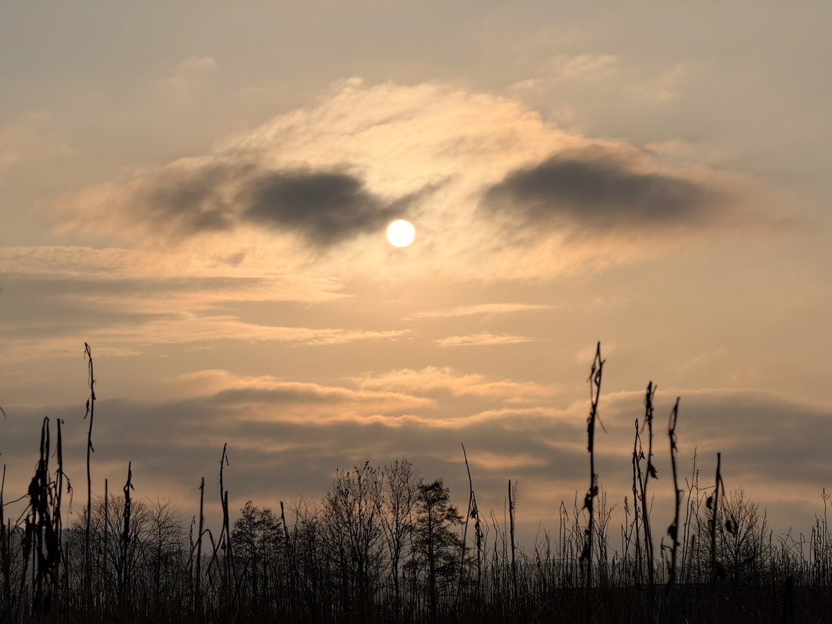 Farbstift (@zeilenbunt) on Twitter photo 