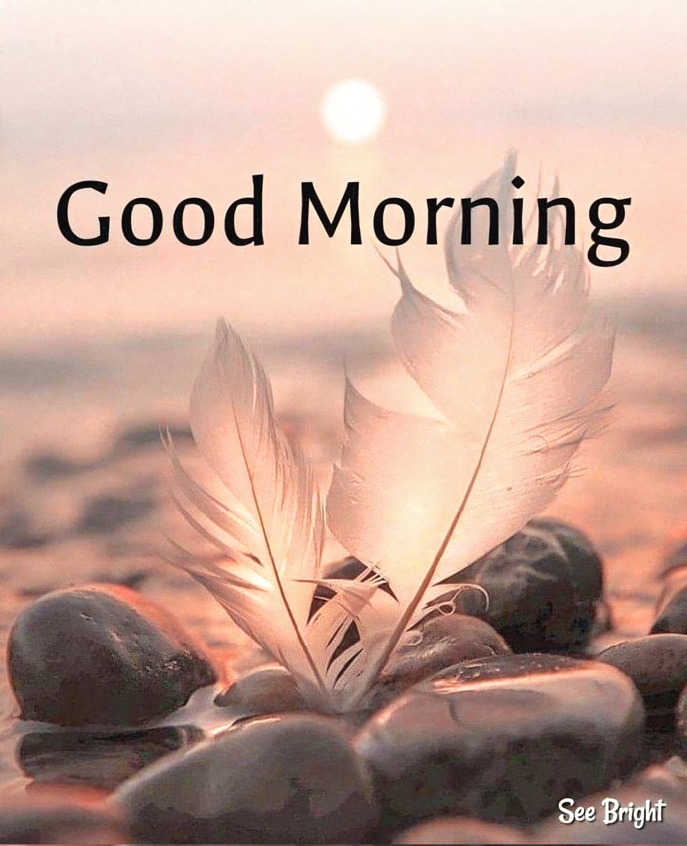 Lady_Deaydra's tweet photo. The future belongs to those who believe in the beauty of their dreams https://t.co/Yve3YxyWhc