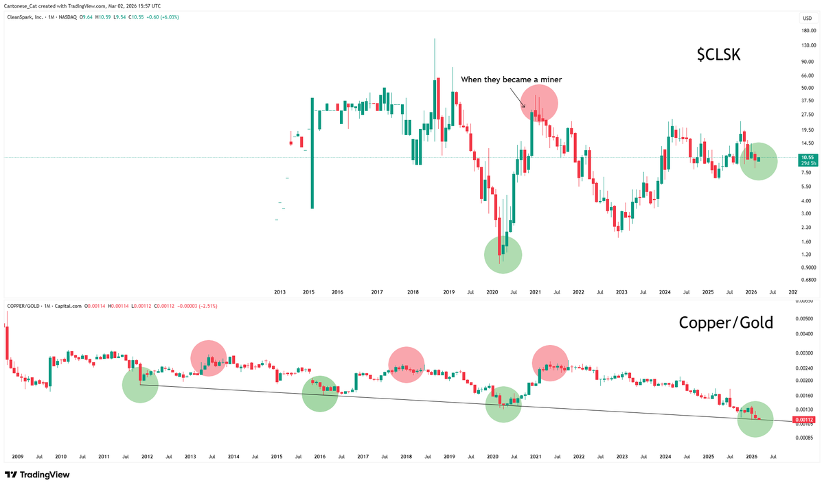 Cantonese Cat 🐱🐈 tweet media